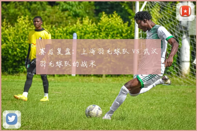 赛后复盘：上海羽毛球队 vs 武汉羽毛球队的战术