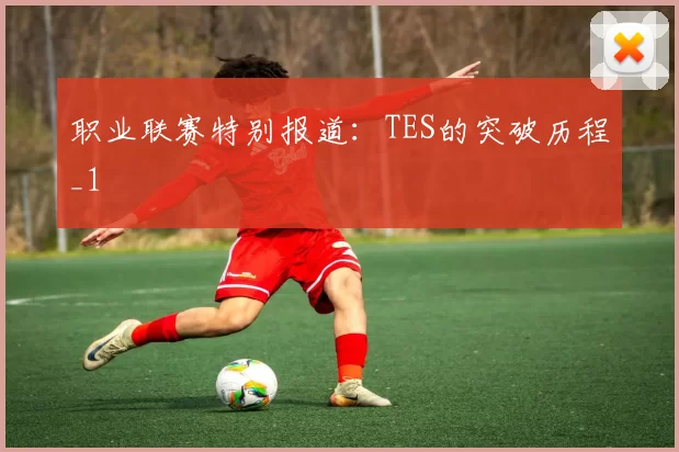 职业联赛特别报道：TES的突破历程_1