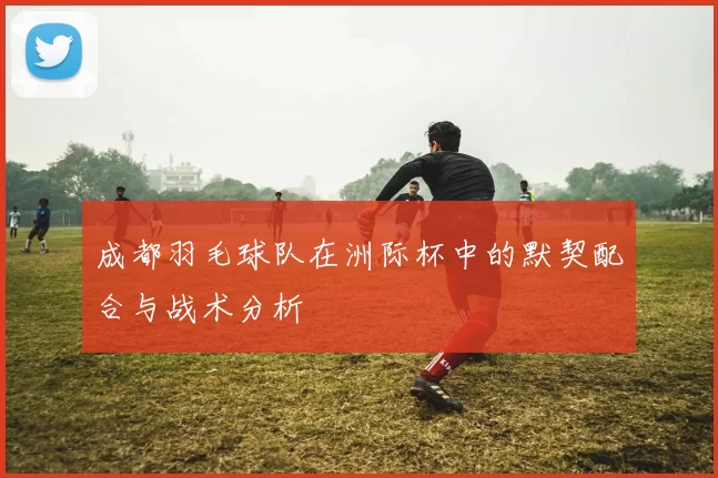 成都羽毛球队在洲际杯中的默契配合与战术分析