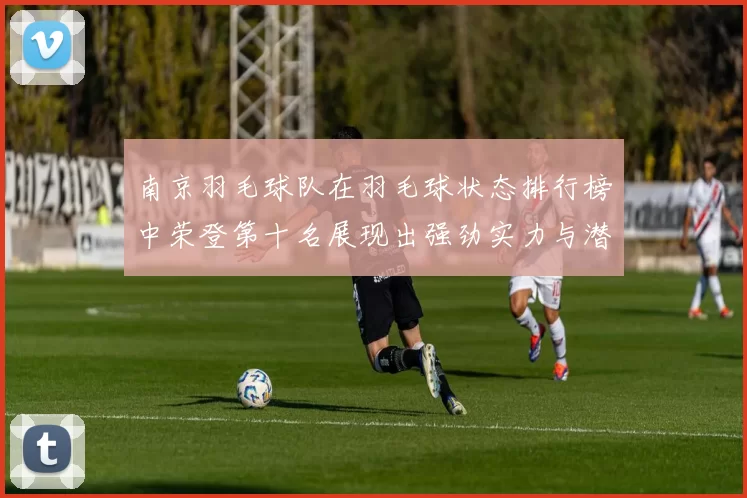 南京羽毛球队在羽毛球状态排行榜中荣登第十名展现出强劲实力与潜力